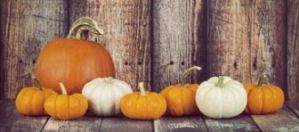 fall-pumpkins-1